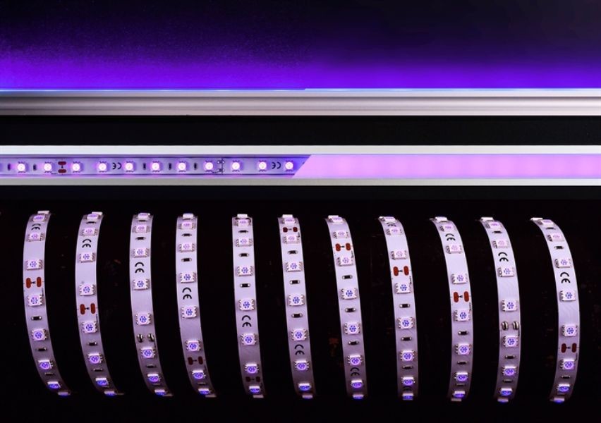 Paradise animal specification Bandă LED 5050 45W Violet 24 V - Luminarium