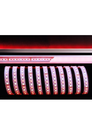 Bandă LED 5050 RGB+4200K 115W 24 V Silicon