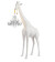 Giraffe in love XL