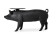 Pig Table