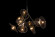Blossom - Candelabru