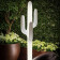 Saguaro